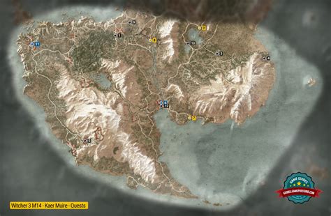 Wild Hunt Quests .
